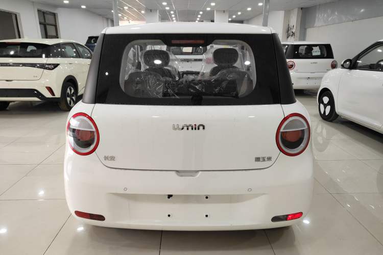 Used  Lumin 2025 205 km Xiangqin Version