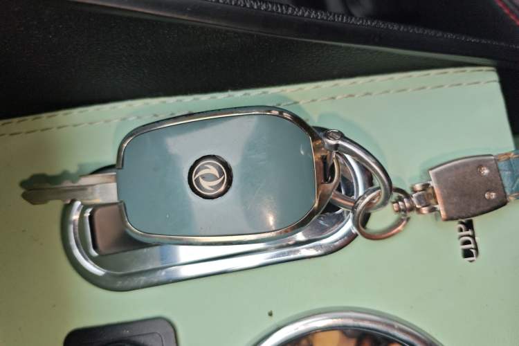 Used Dongfeng NAMMI EX1 2022 Restyled PRO Tiger Glory Deluxe Version
