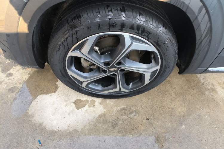 Used Geely Auto Monjaro L 2021 2.0TD DCT EVO Two-Wheel Drive Prestige Version
