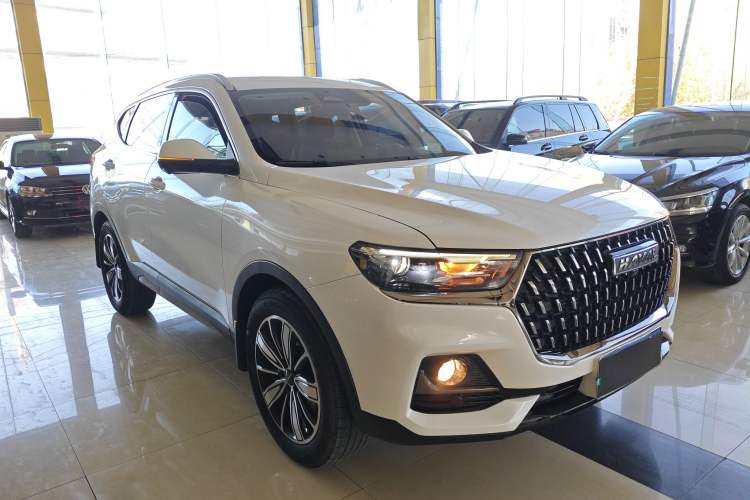 Used Haval H6 2023 National Trend Edition 1.5T Automatic Champion Version
