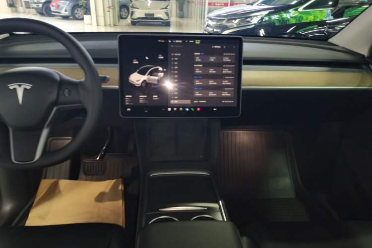 Used Tesla Model Y 2022 Revised Version Long-Range All-Wheel Drive
