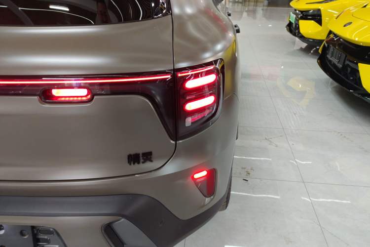 Used  #5 2024 Jungle Realm Limited Edition