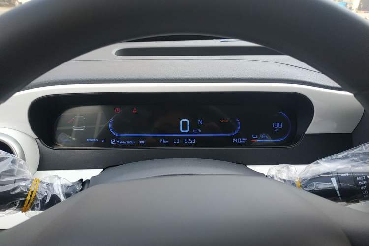 Used  Panda 2025 210 km – Yuanqi Bear
