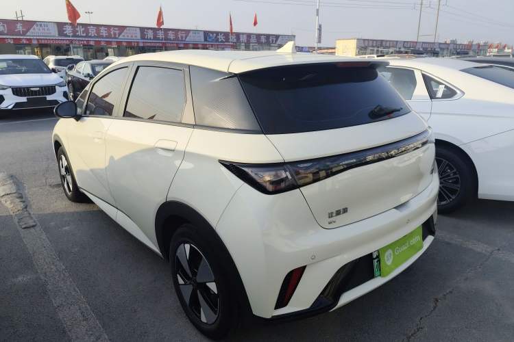 Used BYD Dolphin 2023 420 km Free Version
