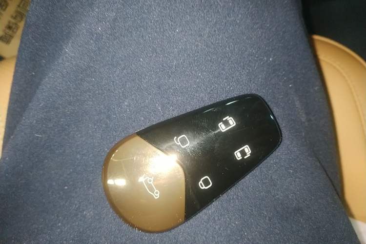 Used VOYAH Dream 2025 PHEV Four-Wheel Drive Excellence Kunpeng Edition
