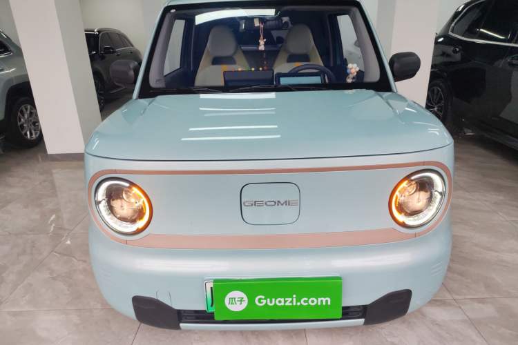 Used  Panda 2024 Panda Mini 200km Endurance Bear
