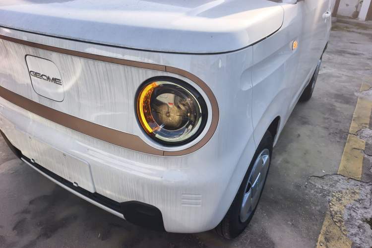 Used  Panda 2024 Panda Mini 200km Endurance Bear
