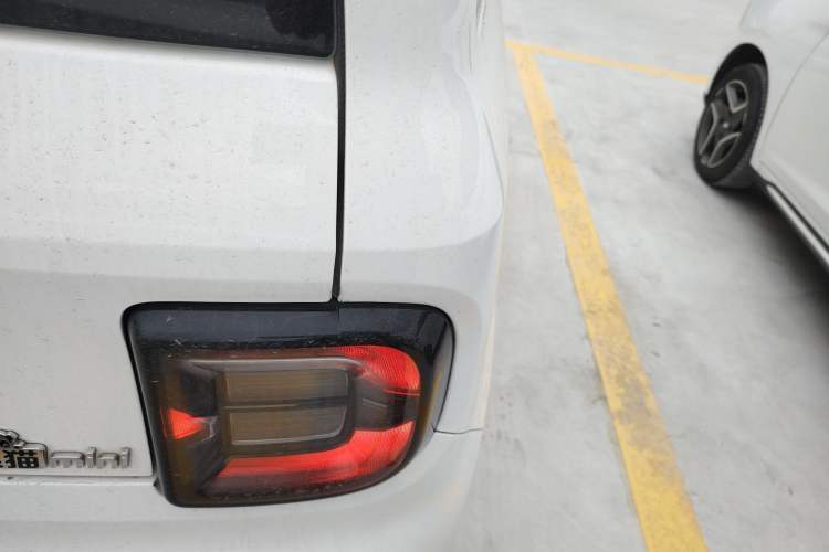 Used  Panda 2023 Panda Mini 200km Endurance Bear
