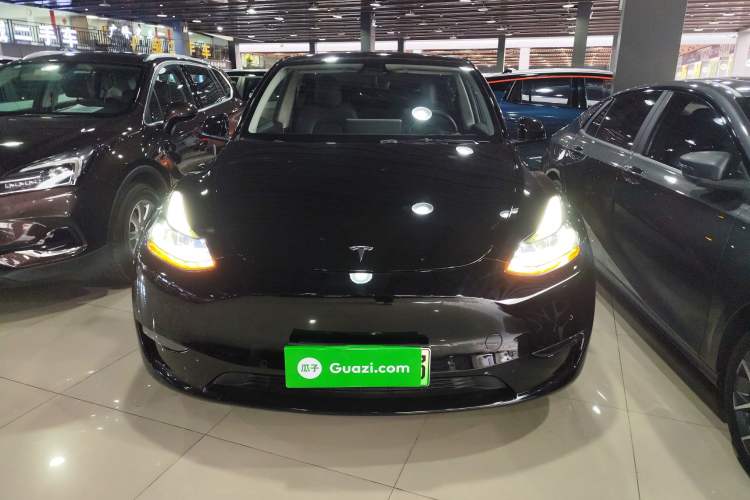 Used Tesla Model Y 2021 Standard Range Rear-Wheel Drive Version
