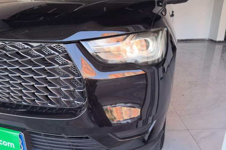 Used Great Wall Poer 2019 2.0T Commercial Version Manual Diesel Two-Wheel Drive Elite Long-Box GW4D20M