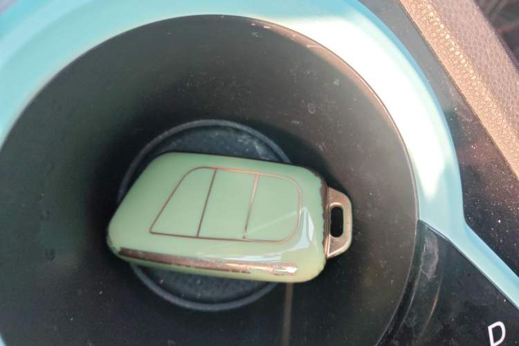 Used Chery Little Ant 2021 150 000 Yuan "Ant Fan" Edition New Ant Cool Version Lithium-Ion Battery