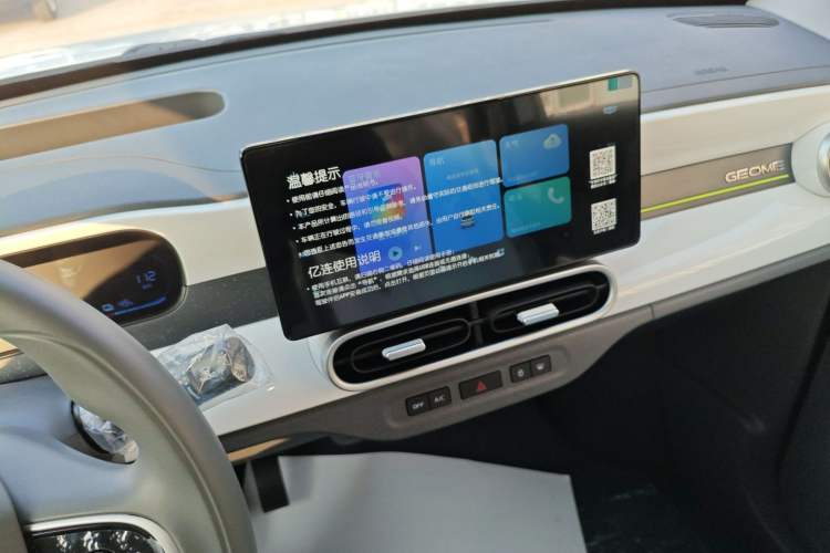 Used  Panda 2025 210 km – Yuanqi Bear
