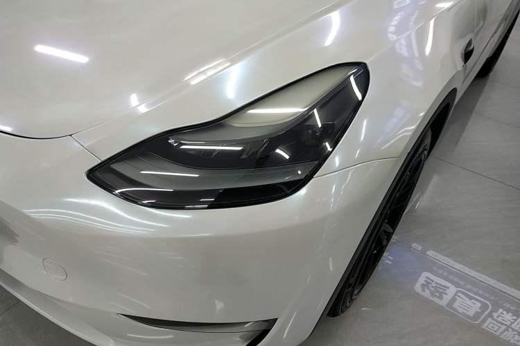 Used Tesla Model Y 2021 Standard Range Rear-Wheel Drive Version
