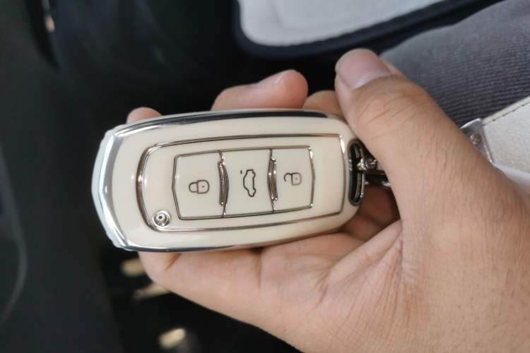 Used  Panda 2024 200km Panda Kart
