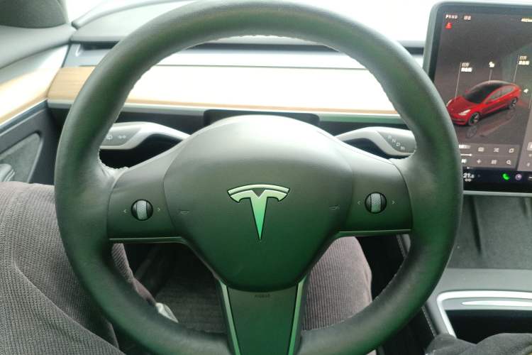Used Tesla Model 3 2022 Rear-Wheel-Drive Version
