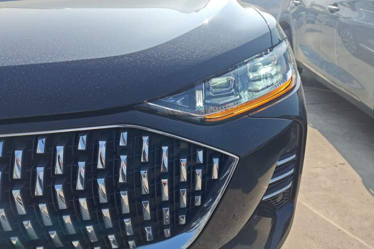 Used Wey Mocha 2021 2.0T Two-Wheel-Drive Ultra-Strong Version