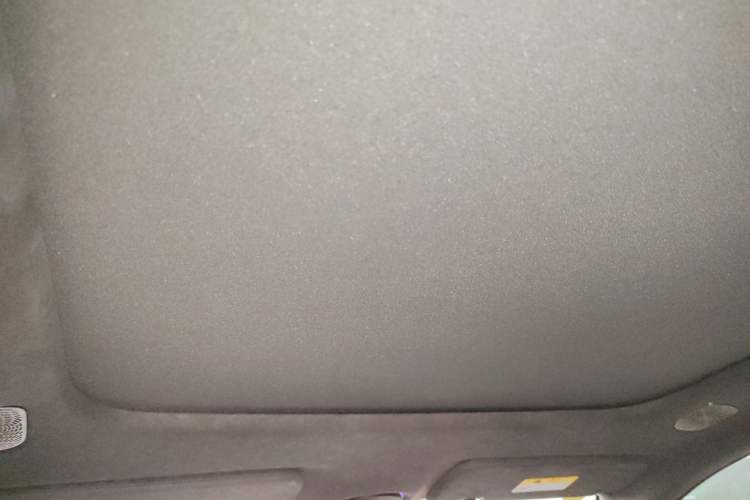 Used  07 2024 Max Extended-Range Edition
