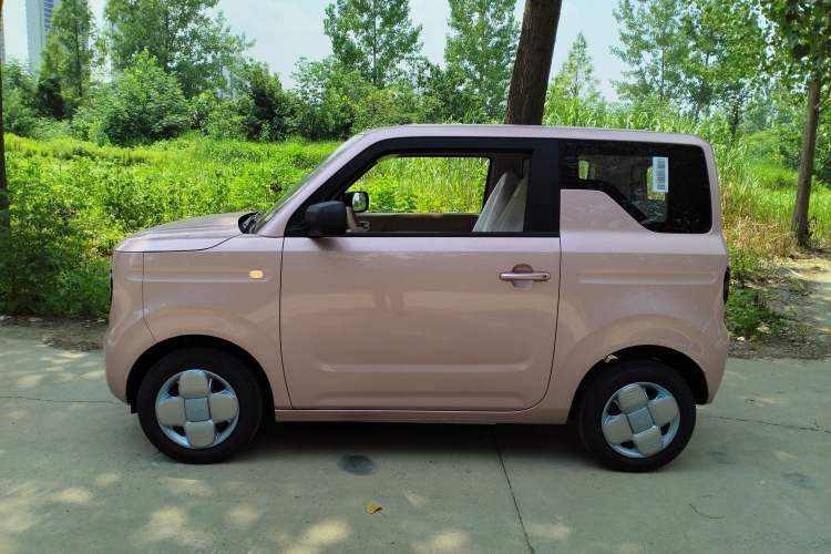 Used  Panda 2024 Panda Mini 200km Longteng PRO Edition
