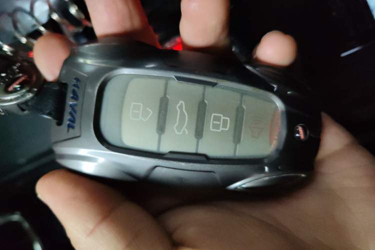 Used Haval DARGO 2021 2.0T DCT Two-Wheel Drive Chinese Mastiff Edition