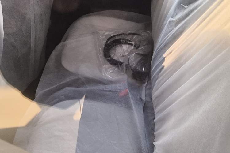 Used  Panda 2025 210 km – Yuanqi Bear
