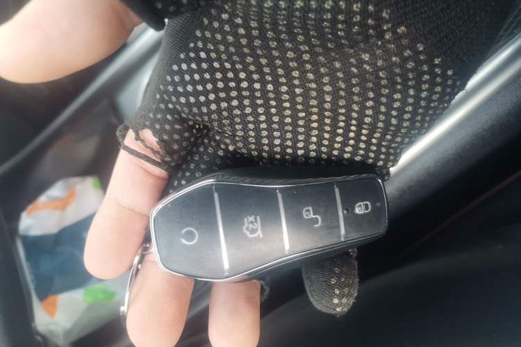 Used BYD Dolphin 2025 420km Free Edition
