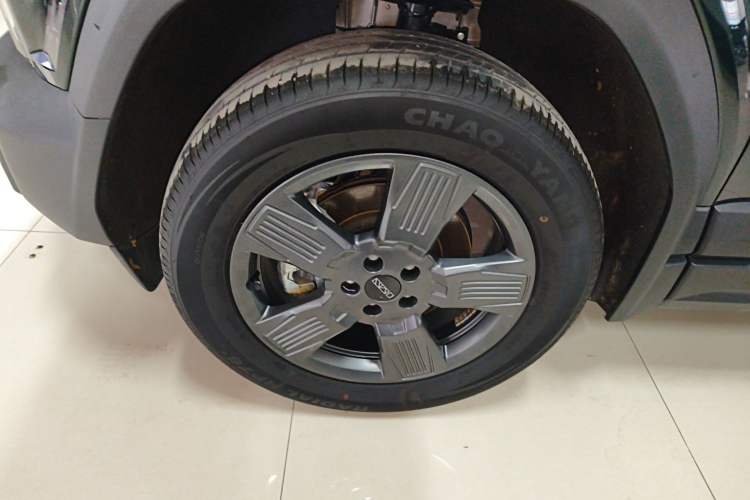 Used  03 2024 501km Two-Wheel Drive Long-Range Version
