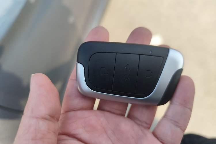 Used Chery Little Ant 2023 301km True Love Plus Version Ternary Lithium