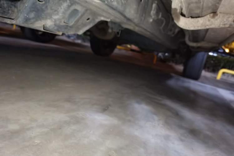 Used Great Wall Poer 2021 2.0T Commercial Version Manual Diesel Two-Wheel Drive Elite Long-Box GW4D20M