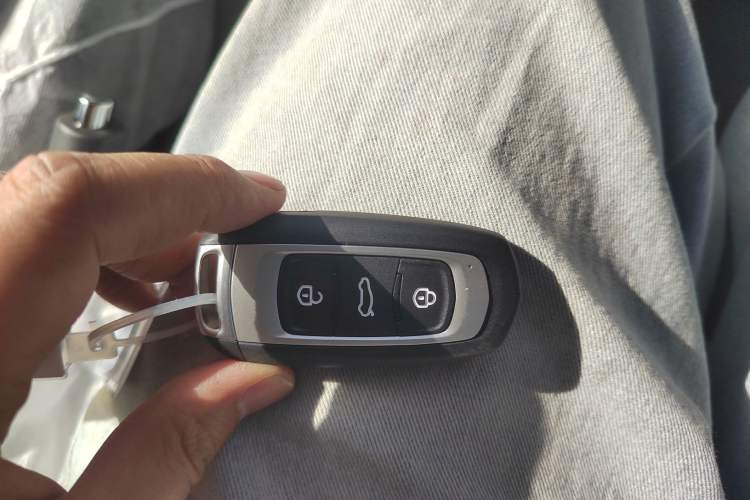 Used  Panda 2024 Panda Mini 200km Endurance Bear
