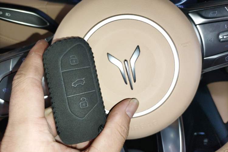 Used VOYAH FREE 2021 Two-Wheel Drive Standard Pure Electric City Edition
