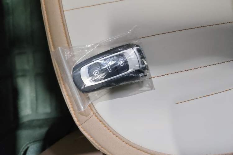 Used  Panda 2024 Panda Mini 200km Longteng PRO Edition
