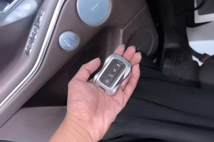 Used Tank 700 New Energy 2024 Hi4-T Ultimate Edition
