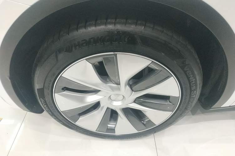 Used Tesla Model Y 2022 Rear-Wheel-Drive Version