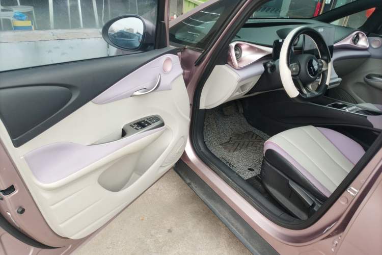 Used BYD Dolphin 2021 405 km Free Version
