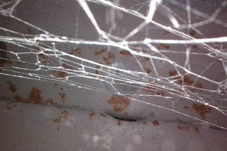 Used Land X7 2018 Geely Xingyue 1.5T Panoramic Supreme Model
