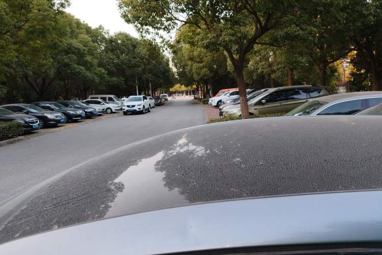 Used BYD Dolphin 2021 405 km Fashion Edition
