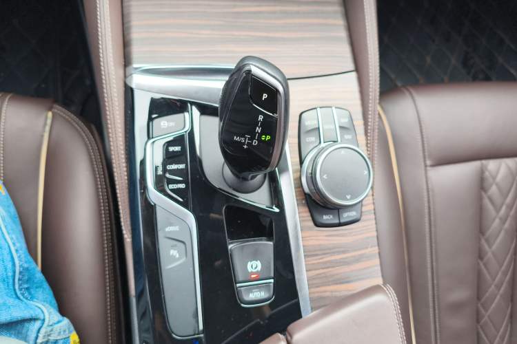 Used BMW 5 Series New Energy 2019 530Le Luxury Package
