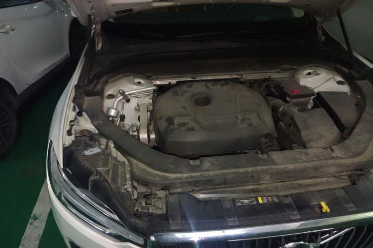 Used Volvo XC60 2019 T5 4x4 Smart Edition China V Standard