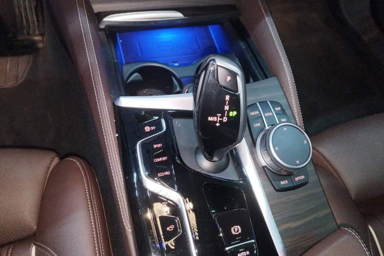 Used BMW 5 Series 2021 530Li Luxury Edition Premium Package