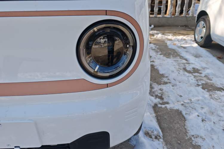 Used  Panda 2024 Panda Mini 200km Endurance Bear