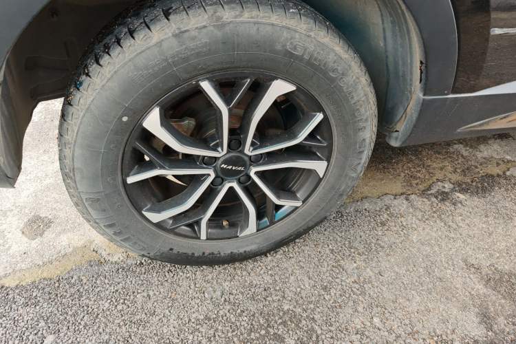 Used Haval H6 2021 National Trend Edition 1.5T Automatic Urban Version
