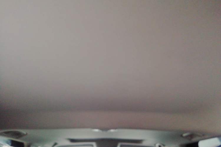 Used Tank 300 2021 Off-Road Edition 2.0T Conqueror
