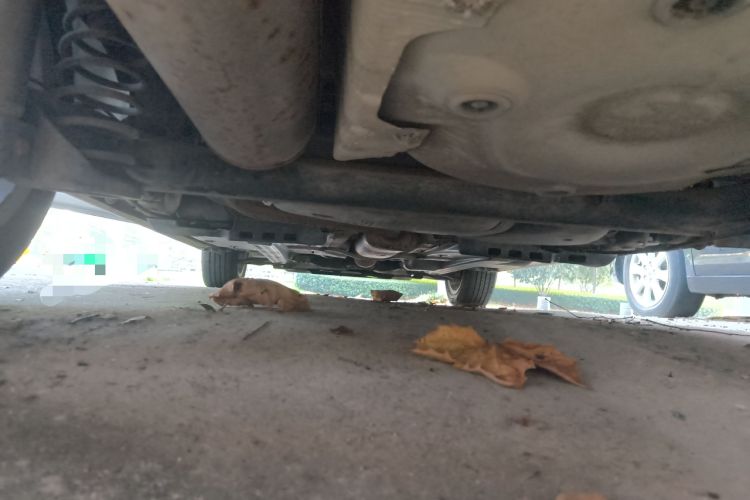 Used Volkswagen Polo 2014 1.6L Automatic Comfort Edition
