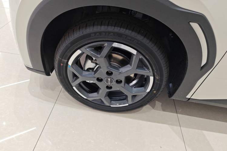 Used BYD Seagull 2025 305 km Free Version