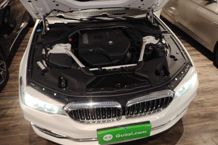 Used BMW 5 Series 2019 530Li Leading Model Luxury Package
