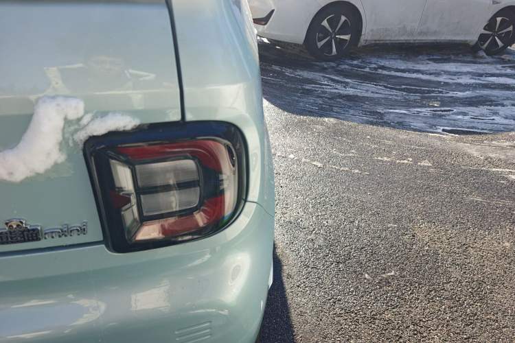 Used  Panda 2024 Panda Mini 200km Endurance Bear