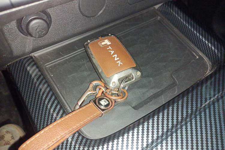 Used Tank 300 2024 2.0T Conqueror
