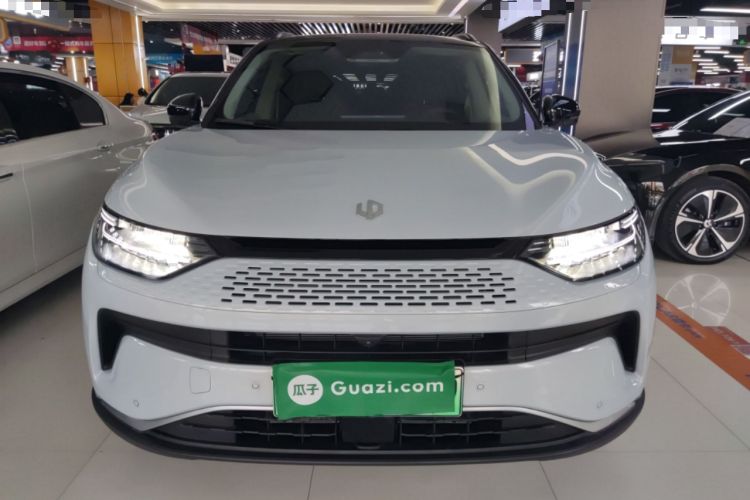 Used Leapmotor C11 2024 Range-Extended 300 Luxury Edition