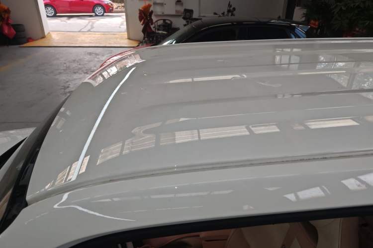 Used  Panda 2023 Panda Mini 200km Endurance Bear
