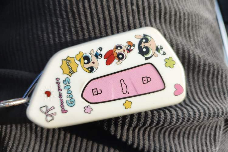 Used Volkswagen ID.4 X 2023 Pure Long-Range Version